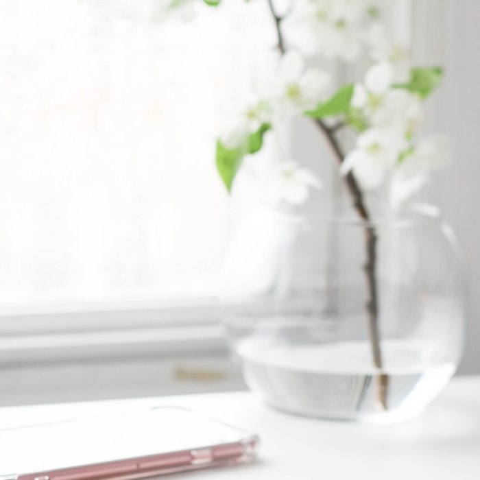 indoor, interior, plant, flower, vase, flower wallpaper, glass, water, flower background, nature, jar, white, table, mobile, beautiful flowers, phone, gadget